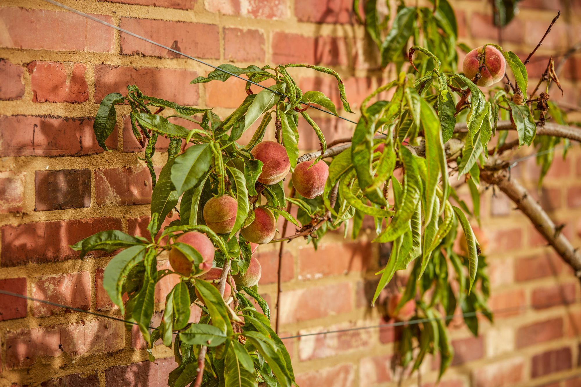 Mallory Court Country House Hotel & Spa Leamington Spa Εξωτερικό φωτογραφία